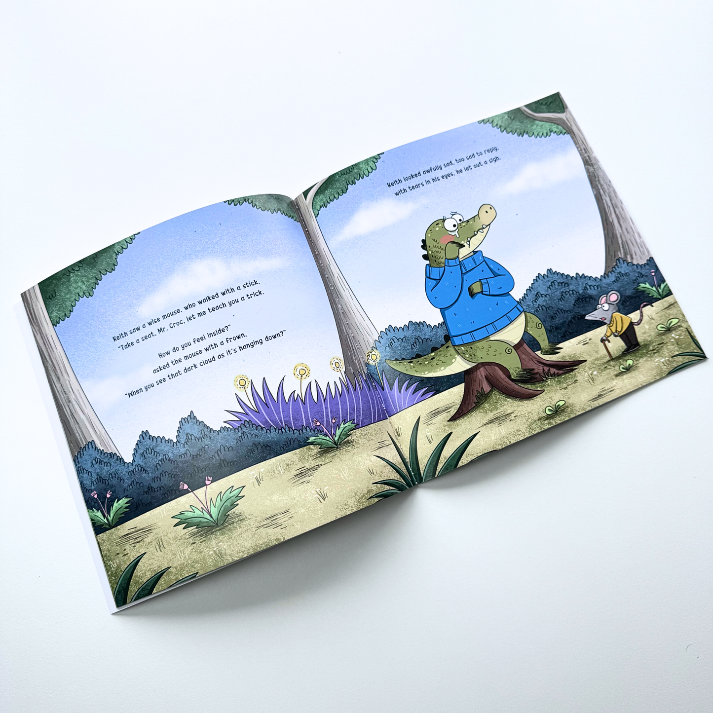 The Cloud Collector | A Children’s Mindfulness Illustrated Story Book | Written by Matt Stevens