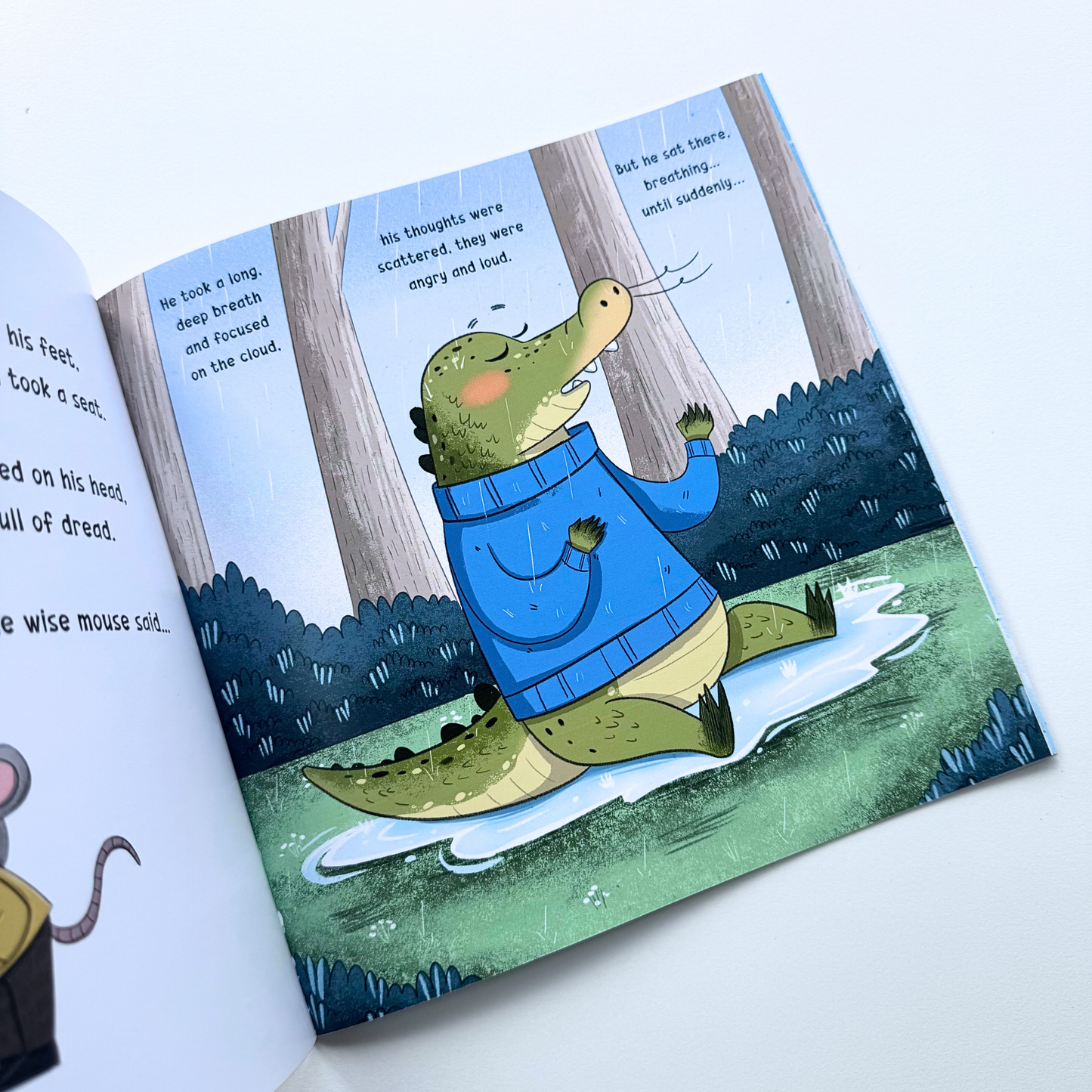 The Cloud Collector | A Children’s Mindfulness Illustrated Story Book | Written by Matt Stevens
