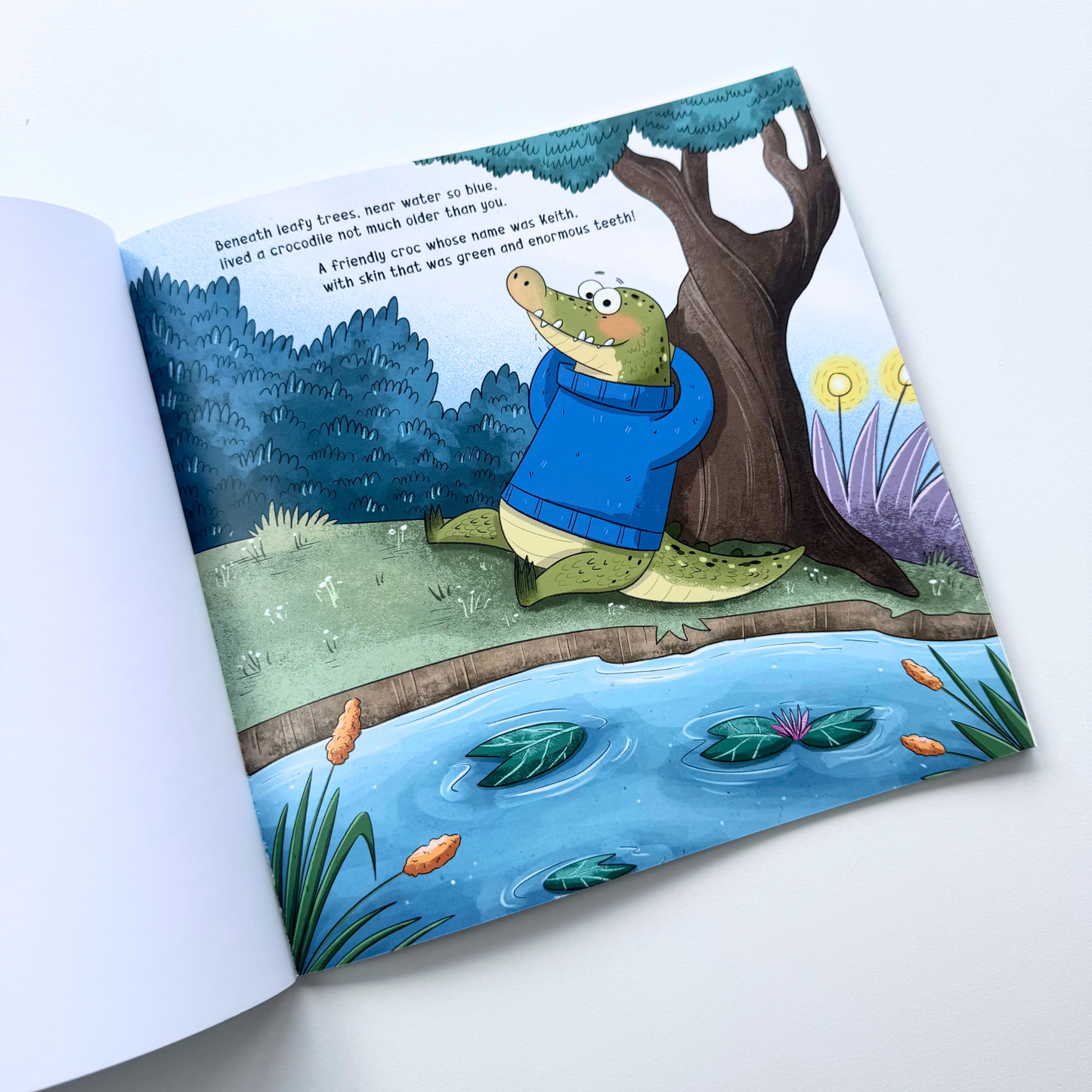 The Cloud Collector | A Children’s Mindfulness Illustrated Story Book | Written by Matt Stevens